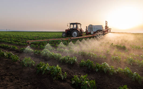 Best Pest Prevention Services  in Windsor, MO