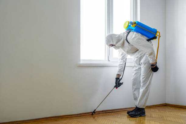 Best Affordable Pest Control Services  in Windsor, MO