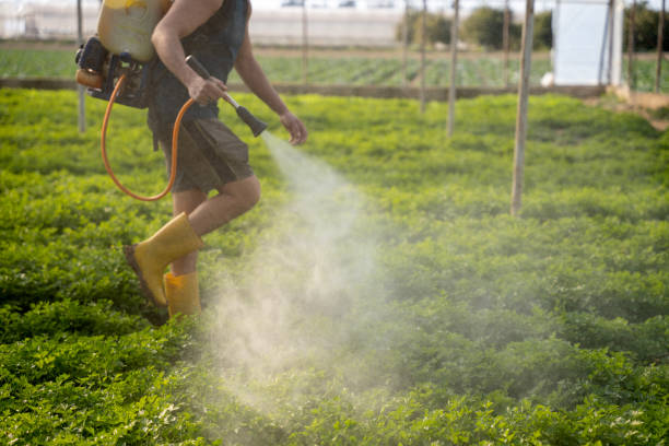 Best Residential Pest Control  in Windsor, MO