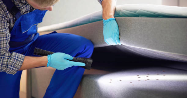 Pest Control Cost in Windsor, MO