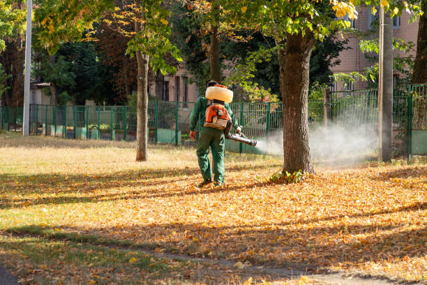 Best Best Pest Control Companies  in Windsor, MO