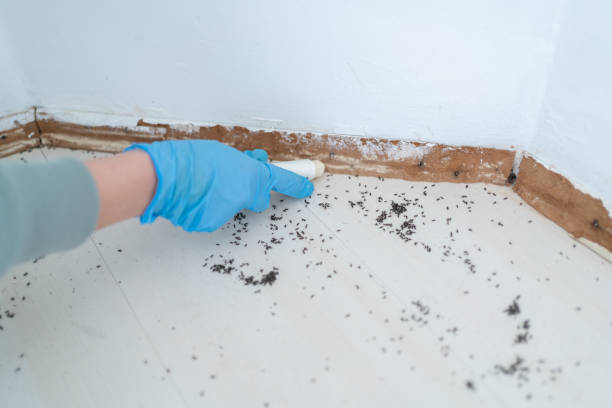 Best Affordable Pest Control Services  in Windsor, MO