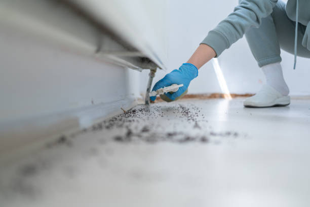 Windsor, MO Pest Control Company