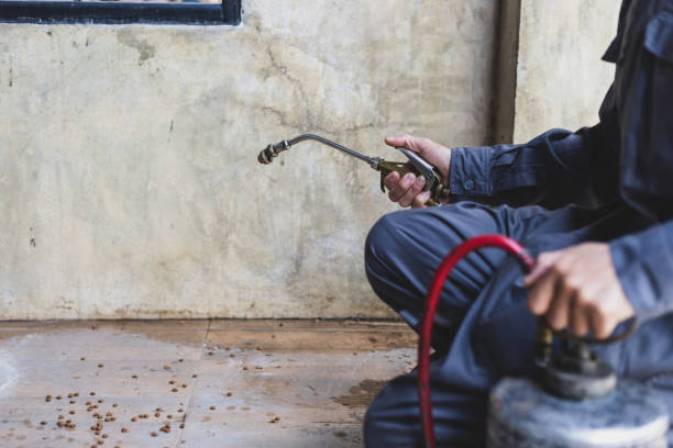 Best Ant Control Services  in Windsor, MO