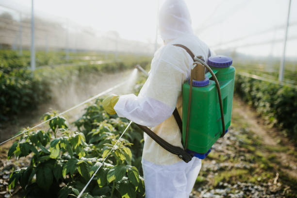 Best Affordable Pest Control Services  in Windsor, MO